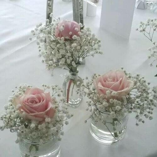 Baby’s breath and blush pink roses