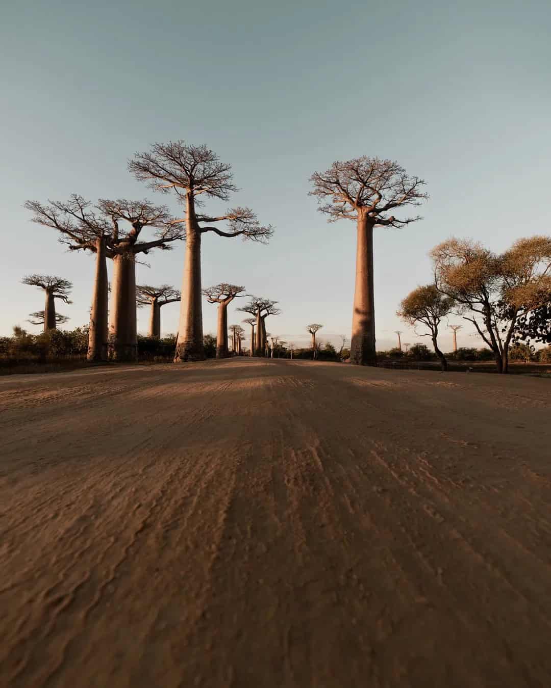 Madagascar