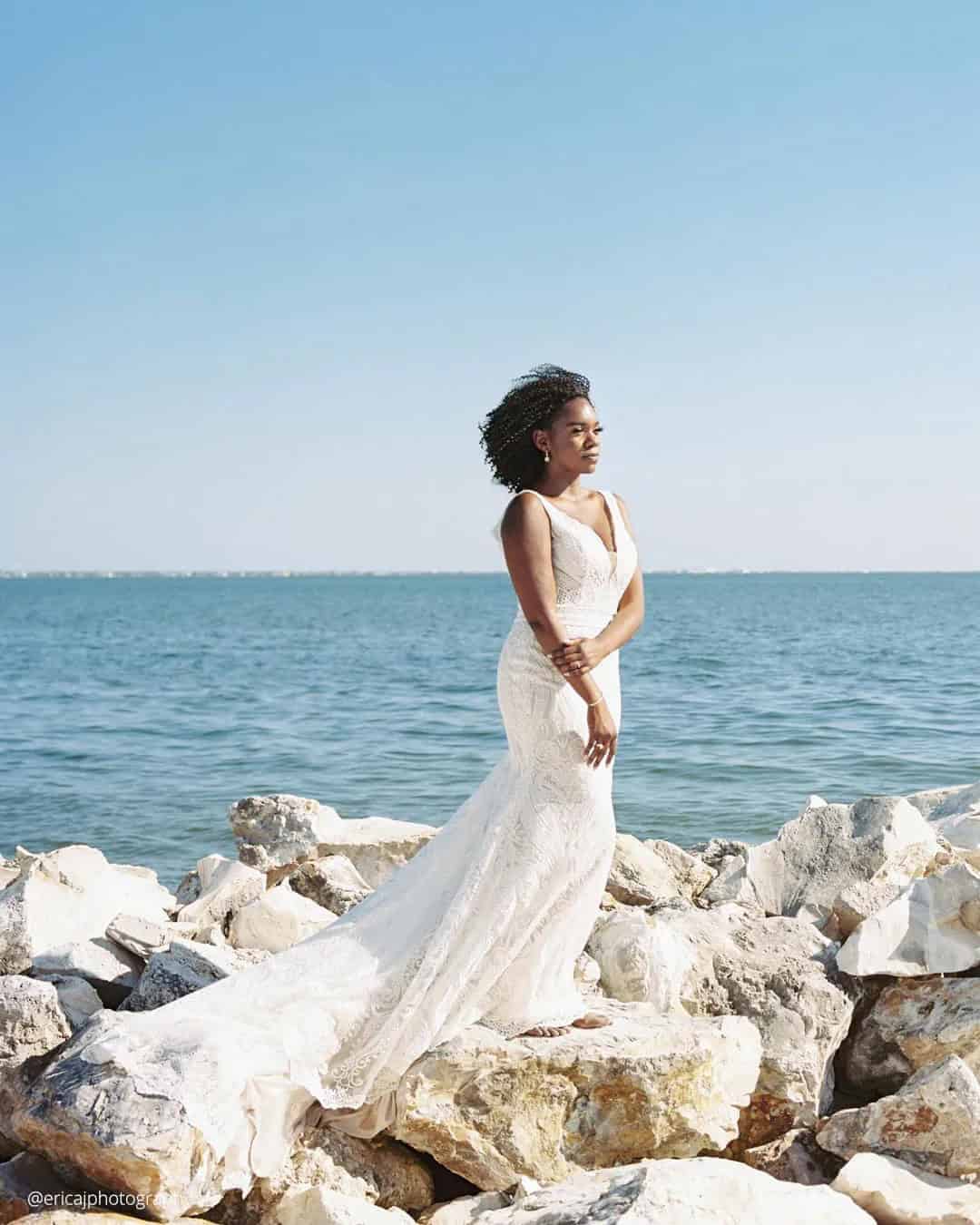 Beach Wedding Photo Backdrop