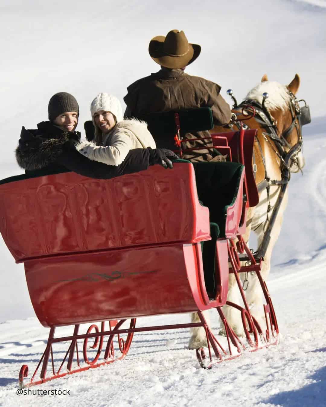 Photo Ideas With Sleighs