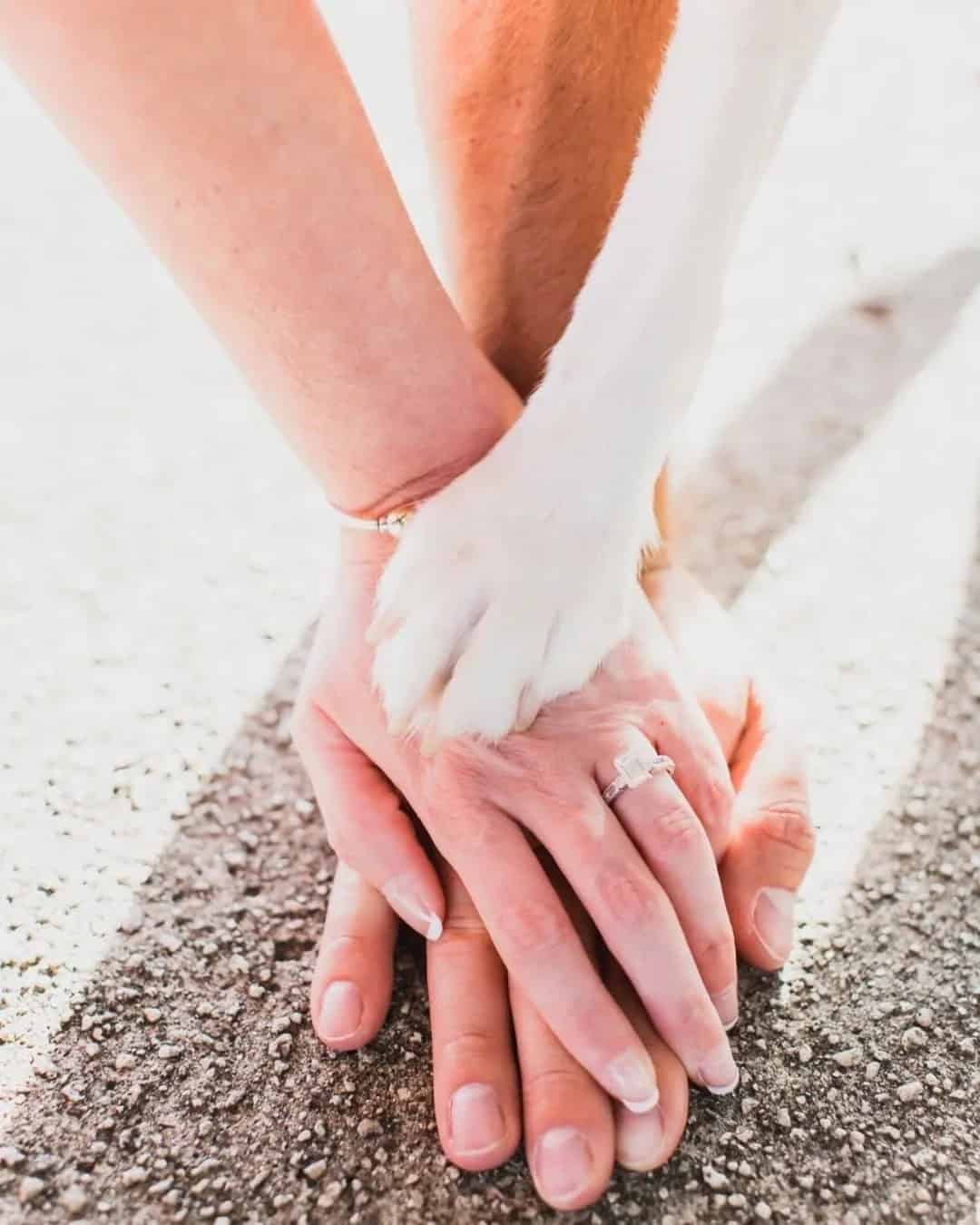 Creative Engagement Photos