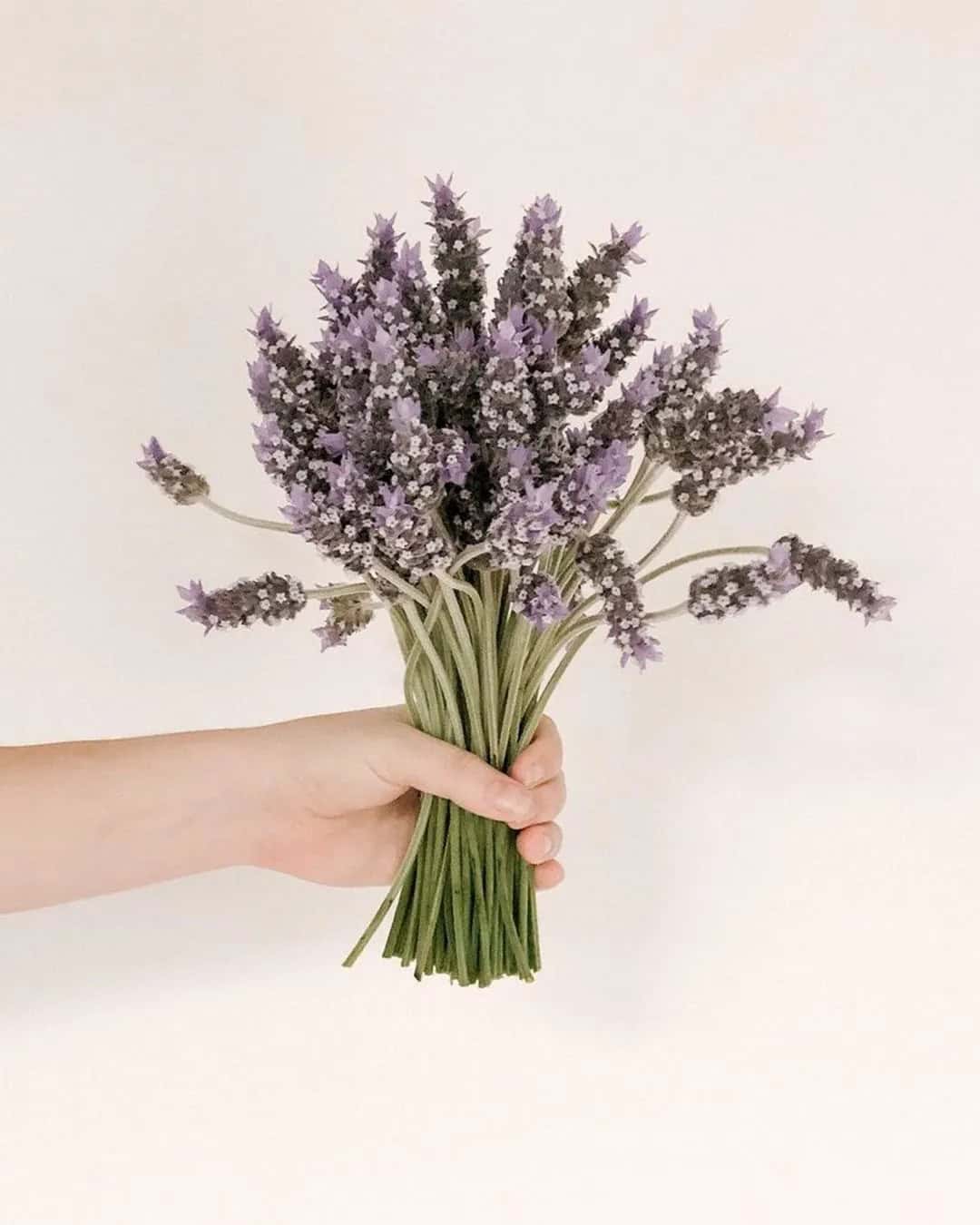 Wedding Bouquets In The Spirit Of Provence With Lavender