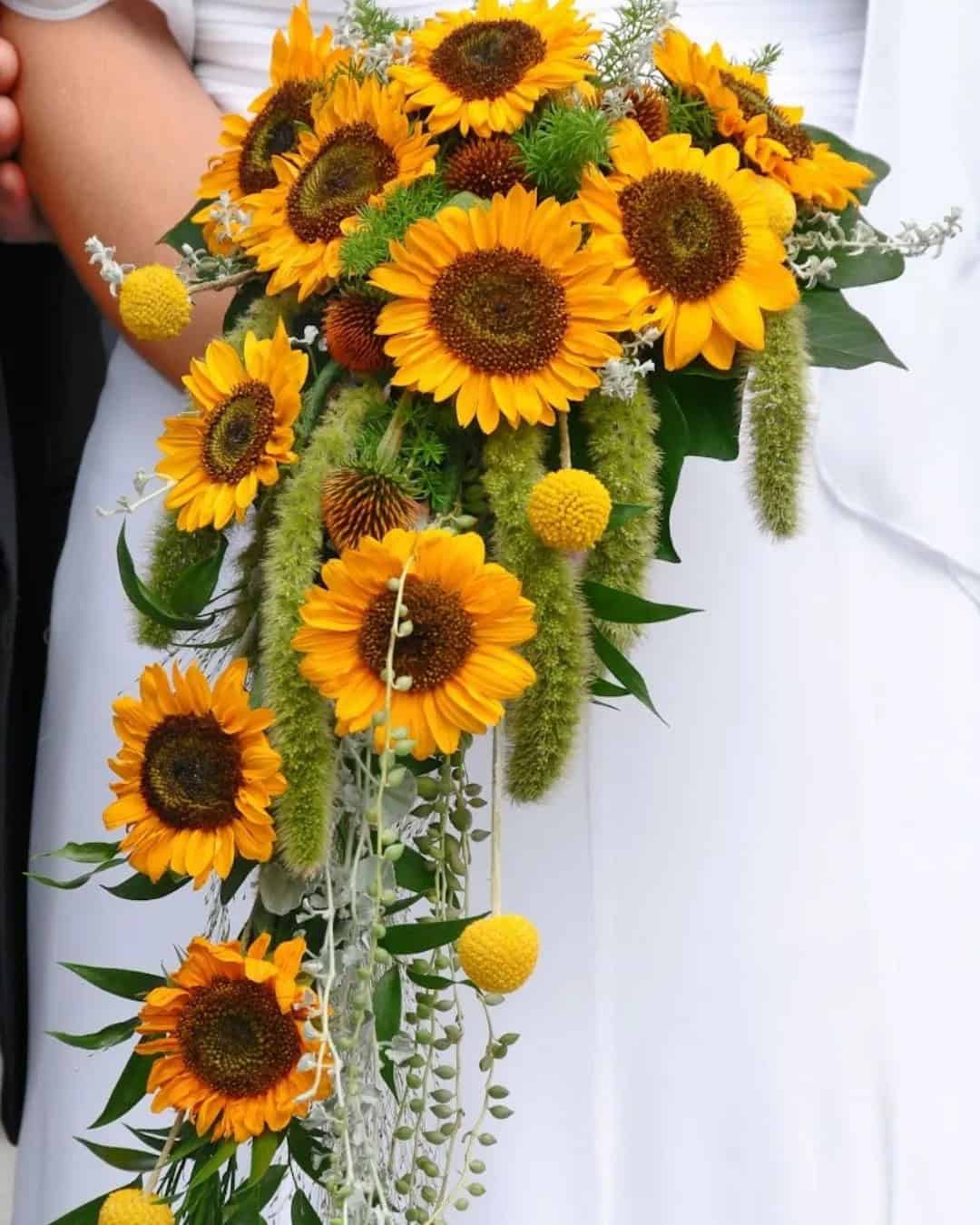 Tender Ideas with Sunflower