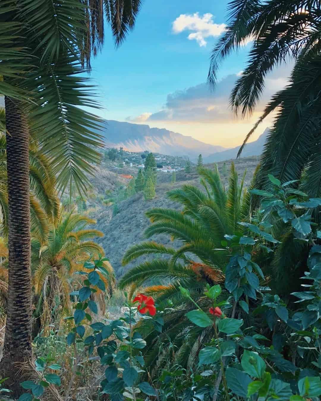 Canary Islands