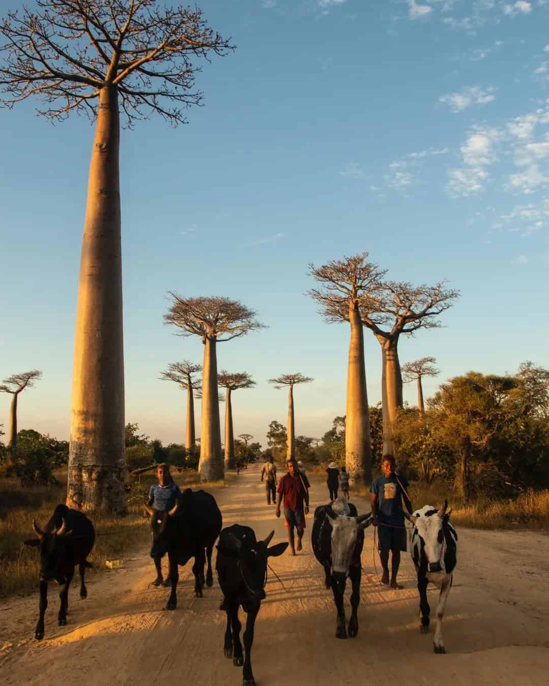 Andilana Beach Resort, Madagascar