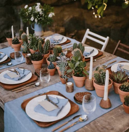 Cacti centerpieces