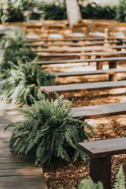 Line The Aisle With Ferns