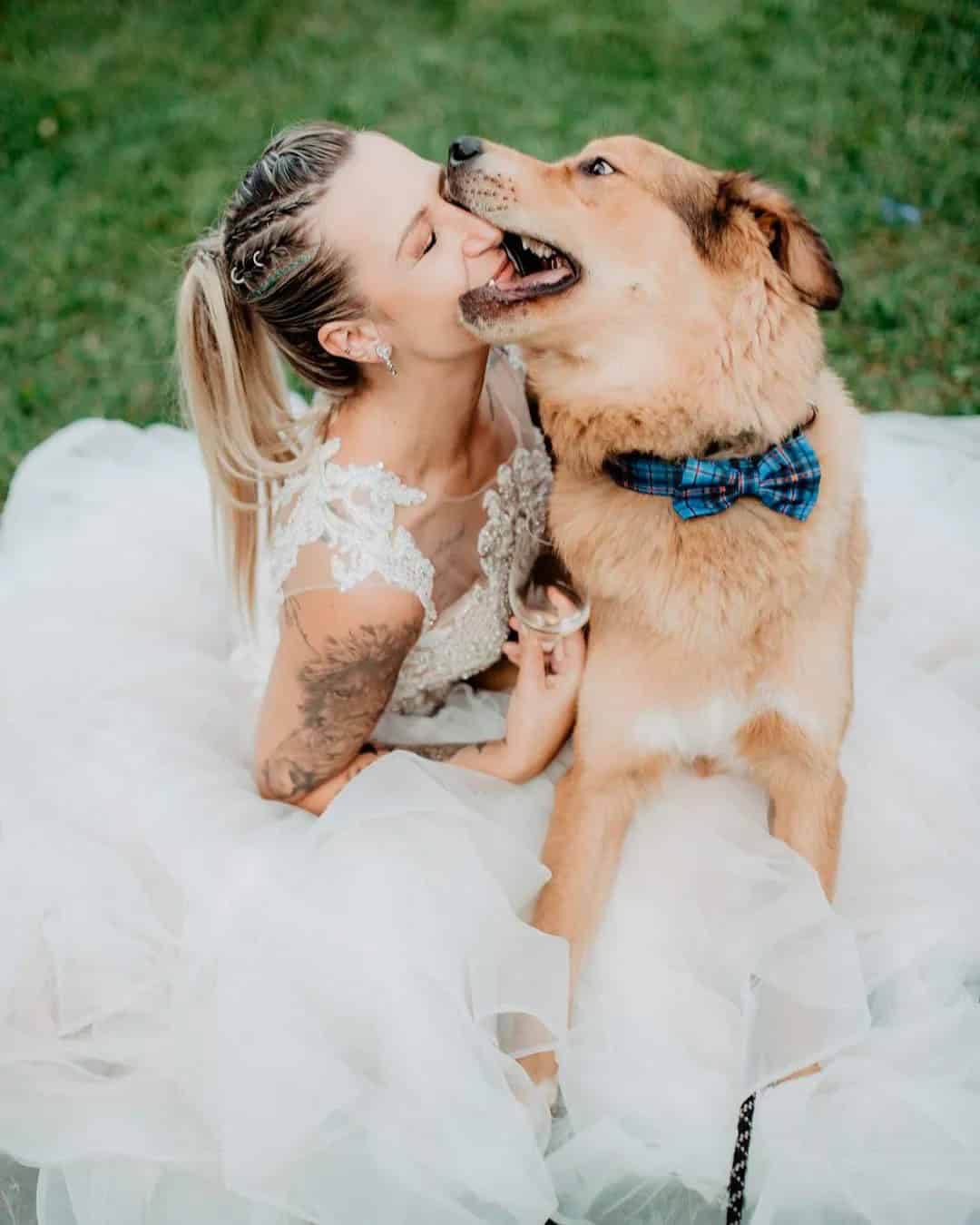 Your Pets at The Wedding